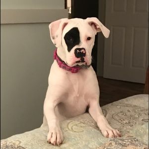 Meet your Posher, Tammy